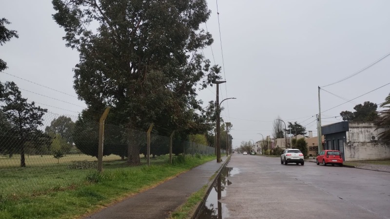 Semana con protagonismo de las lluvias y el sol